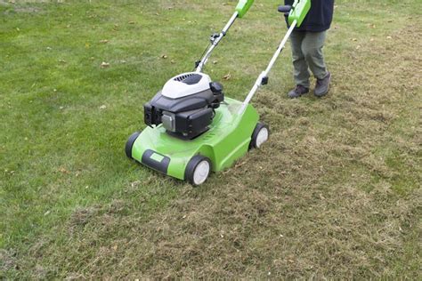 People dethatch a lawn when they: Should You Dethatch or Aerate Lawn First? - Garden Tabs