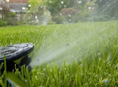 You should apply about 0.75″ (3/4 inch) of water each time you irrigate to wet your lawn's root zone. Watering your lawn properly will help it grow deep roots.