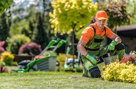 10 Tips For Landscaping Business This Spring Nextdoor