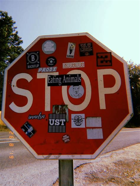 Edgy Hipster Summer Aesthetic Stop Sign Photograph Street Sign