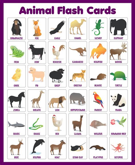 10 Best Free Printable Animal Flash Cards