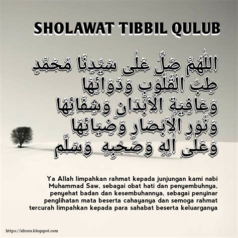 Sholawat tibbil qulub 1 jam non stop merdu banget menyentuh hati lirik dan terjemah. Sholawat Thibbil Qulub di Percaya Sembuhkan Berbagai Penyakit - idrora
