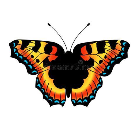 Vector Butterfly Stock Vector Illustration Of Blue 64521054