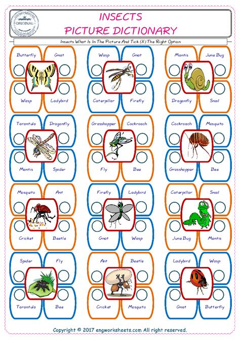 Insects English Esl Vocabulary Worksheets Engworksheets