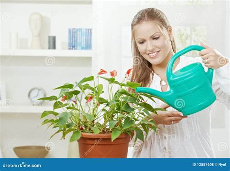 Young Woman Watering Plant Stock Photo Image Of Eyes 12557608