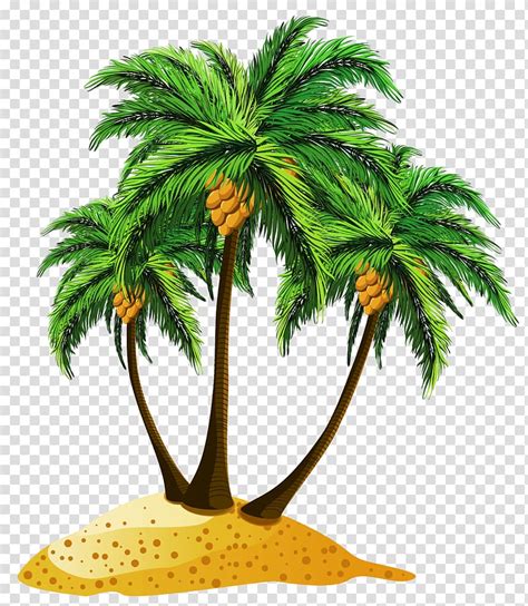 Coconut Tree Illustration Beach Tree Palm Tree Transparent