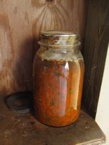 Sterelized food placed in sterile jars and sealed. How Did We Can? | Open-Kettle Canning · Canning Techniques