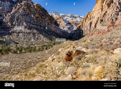 Winter Snowy Landscape Of The Famous Red Rock Canyon National
