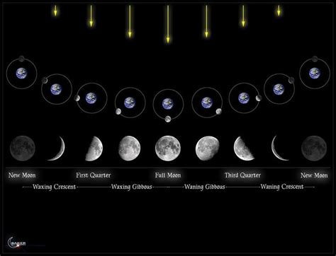 Moon Phases Moon Embedded Image Permalink Lunar Phase