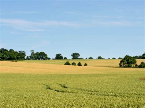 Wheat Field Suffolk Countryside England Countryside Outdoor