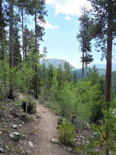 2023 Best Wild Flowers Trails In Town Of Breckenridge Trail Systems