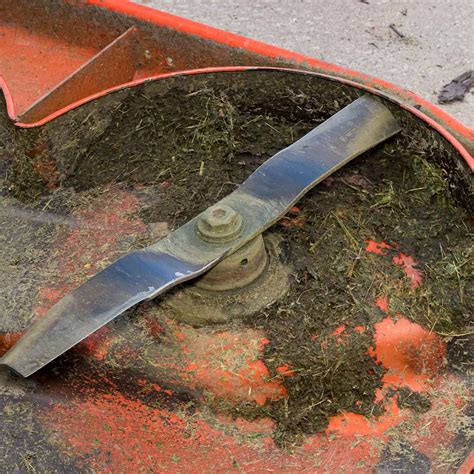 10 Signs To Check Your Lawn Mower Blade Sharpness