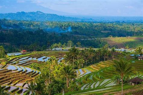 Unesco World Heritage Centre Document Cultural Landscape Of Bali Province The Subak System
