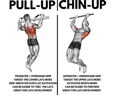 How To Do Pull Ups Workout With Proper Form Exercises And Guide