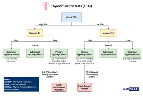 Flowchart Guide To Interpreting Thyroid Function Tests Grepmed