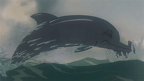 Common Bottlenose Dolphin Animals Wiki Fandom