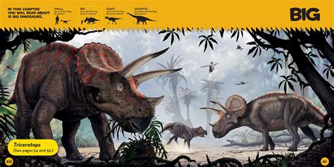 Galleon National Geographic Little Kids First Big Book Of Dinosaurs