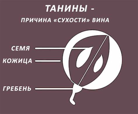 Диета и сухое красное вино Почему вино "сухое"? Почему вино "сухое"? Диета и сухое красное вино