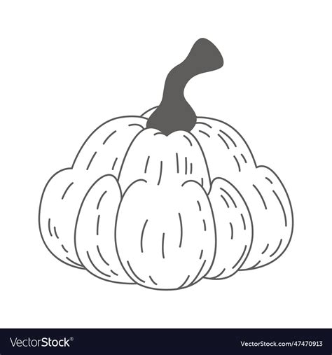 Linear Pumpkin Vegetable Royalty Free Vector Image
