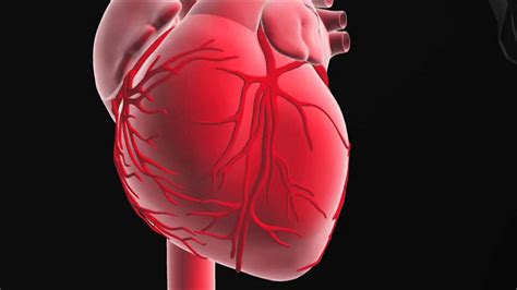 Dieta per proteggere il cuore: Disegni Del Cuore Umano - Disegni HD