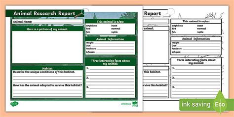 Animal Report Template Science Resources Twinkl