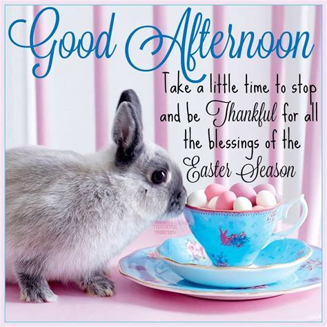 Good afternoon and good day! Good Afternoon Easter Quote Pictures, Photos, and Images ...
