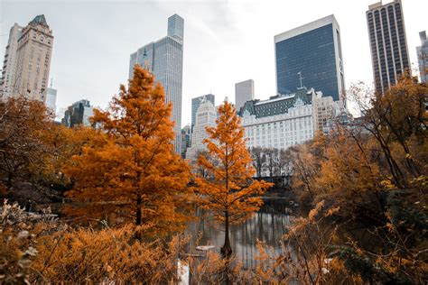Fall In Nyc Cute Things To Do This Autumn Dana Berez