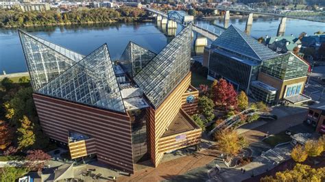 Better Together Tennessee Aquarium Hosting 30th Anniversary Event In