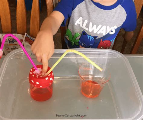 Easy Heart Pump Model: Cardiovascular STEM for Kids - Team Cartwright