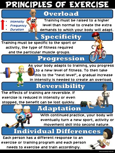 PE Poster: Principles of Exercise | Teaching Resources