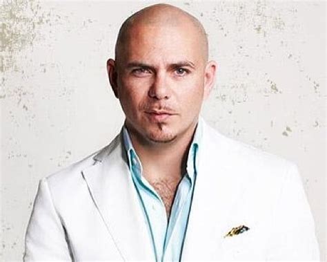 Pitbull Singer Biography Sample Writing
