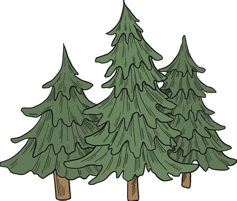 Fir Tree Clipart Evergreen Christmas Tree Silhouette