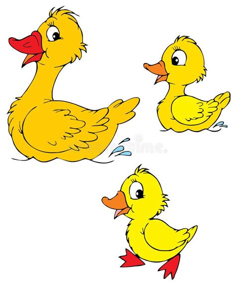 Duck And Ducklings Vector Stock Vector Illustration Of Clipart