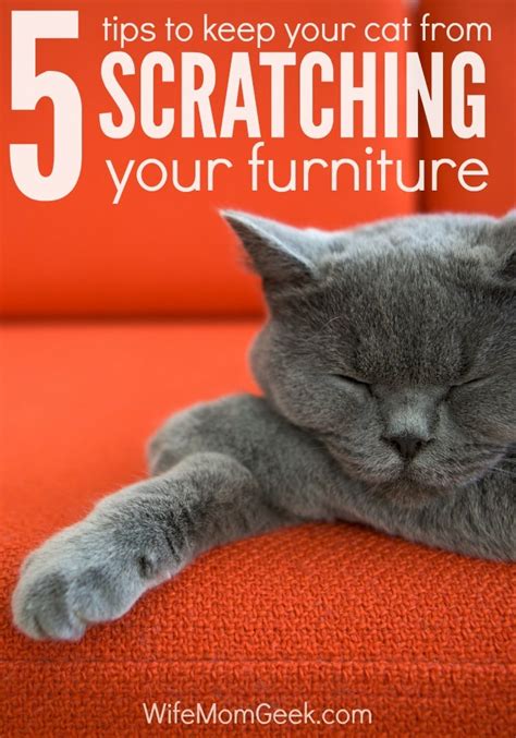 Furniture guards are sturdy, plastic coverings you can apply to your furniture to keep your cat from clawing them up. How to Stop a Cat from Scratching Your Furniture