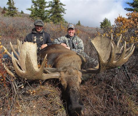 Yukon Moose Hunt 10468