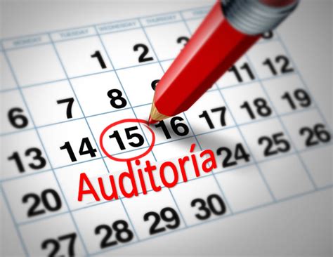 Programa De Auditoría ¿que Debe Incluir Alejandra Berra Consultor