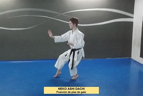 Karate Shito Ryu Asturias Posiciones De Karate Tachi Kata