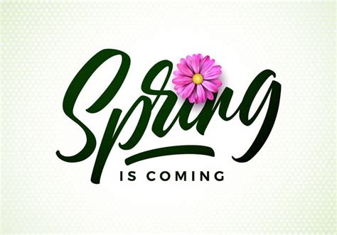 Vector Spring Is Coming Illustration With Beautiful Pink Flower On