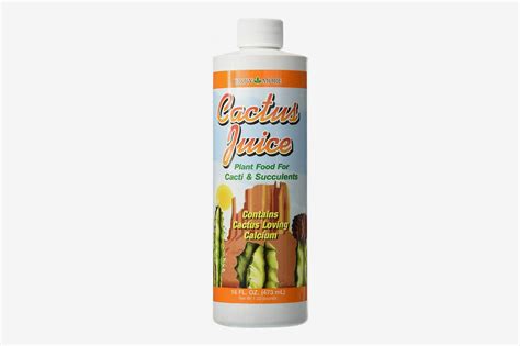 Of water a most larger garden stores have cactus fertilizer in their houseplant care section. 10 Best Fertilizers for Houseplants 2019