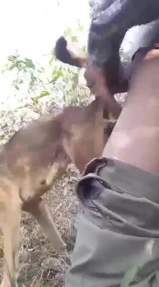 Fucking My Dog In Forest Zoo Tube 1