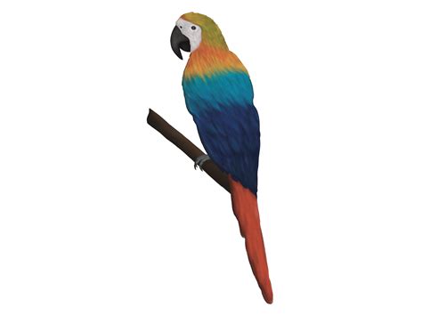 Parrot Graphics
