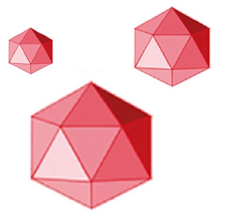 Viral Vector – DiNAQOR