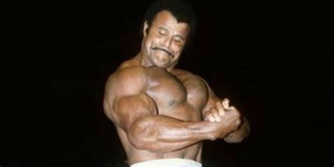 Dwayne johnson official sherdog mixed martial arts stats, photos, videos, breaking news, and more for the heavyweight fighter from united states. Vince McMahon Comments on Rocky Johnson Passing Away