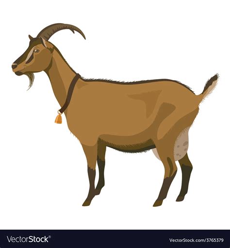 Brown Goat Side View Isolated Royalty Free Vector Image