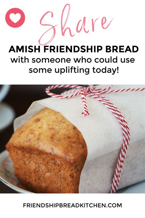Safe To Share Food And Amish Friendship Bread Friendship Bread Kitchen