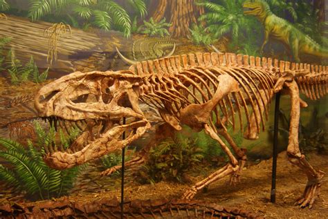 The Triassic Period Facts For Kids And Adults Animals
