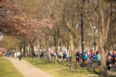 Cherry Blossom 10 Miler 2024 Road Closures And Visiting Cherry Blossoms