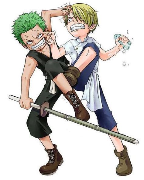 Zoro And Sanji One Piece Pinterest