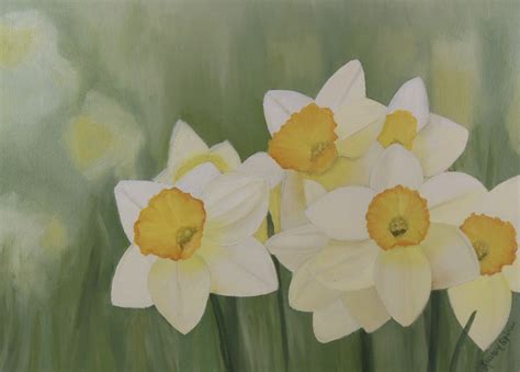 Free Photo Daffodils Painting Art Blooming Daffodil Free