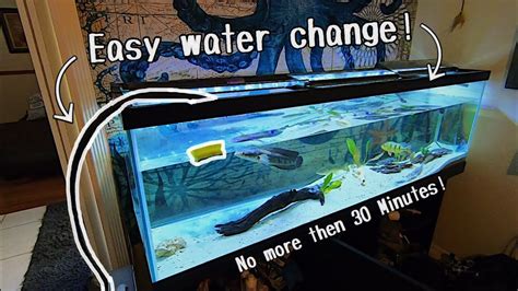 How To Do A Water Change On Any Big Aquarium Youtube